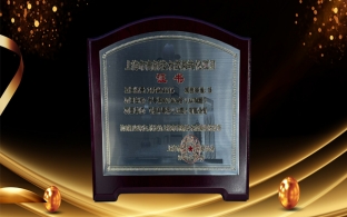 APS's "Semiconductor SiC Mos Tube (ACM Type)" project has been recognized as Shanghai high-tech achievement transformation project